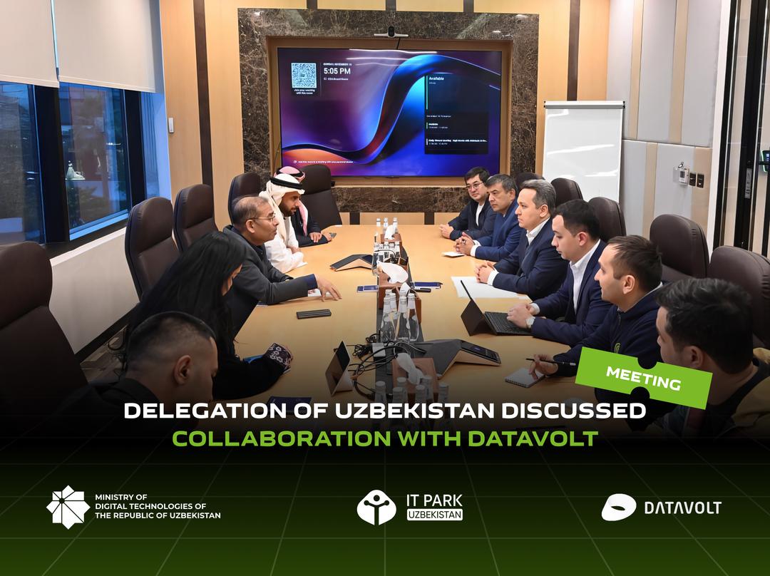 Delegation of Uzbekistan discussed collaboration with DataVolt